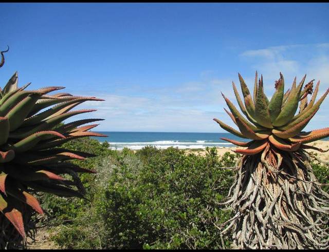 LAND FOR SALE IN NAUTILUS BAY